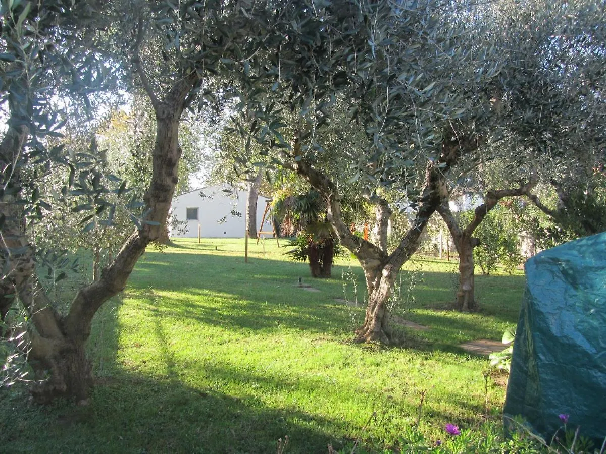 B&B San Russorio Pisa Bed & Breakfast